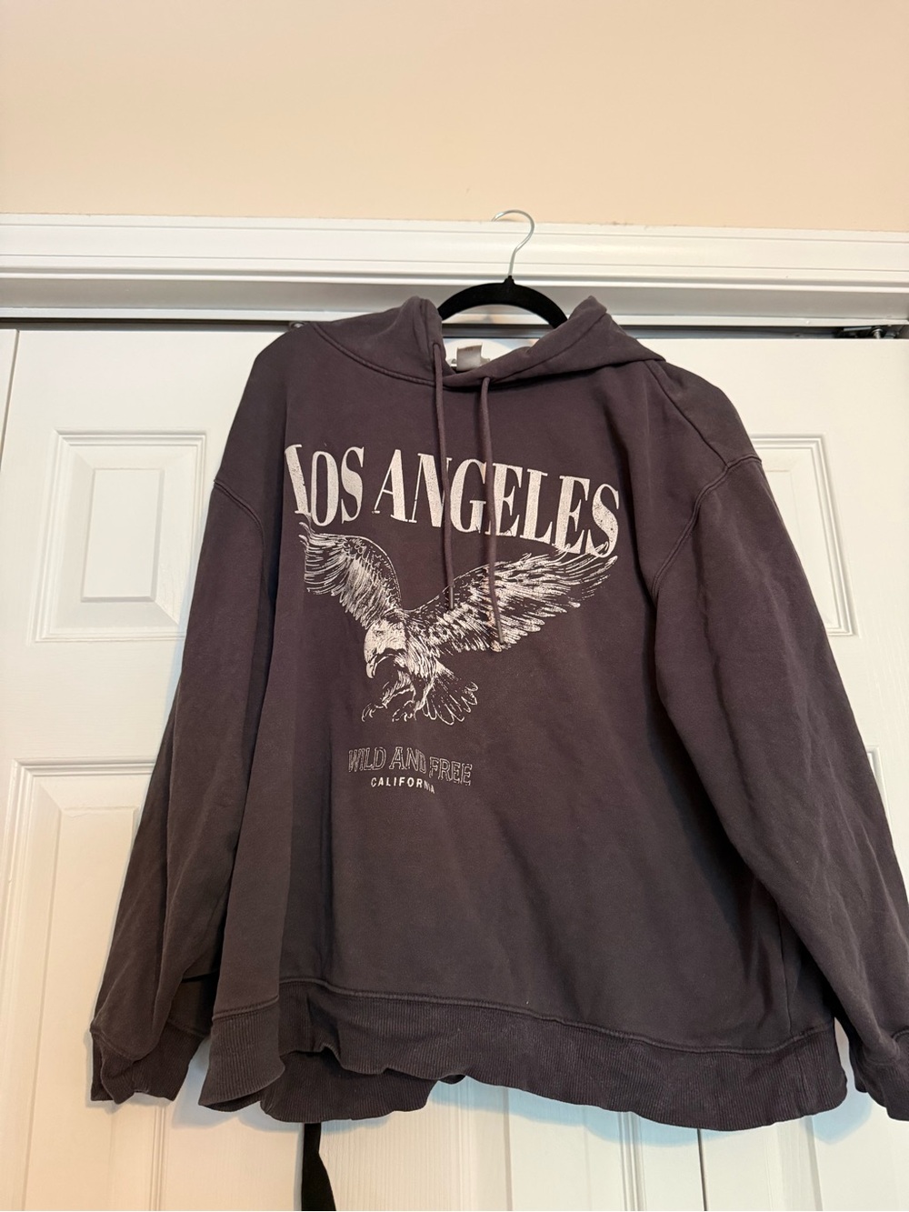 H&M Los Angeles Eagle Graphic Hoodie - Plum